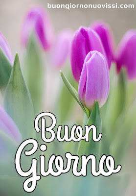 mozzafiato significativo nuovissimo buongiorno immagini recenti