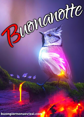 nuovissimi buonanotte la pietra bianca