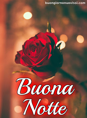 nuovissimi buonanotte la pietra bianca