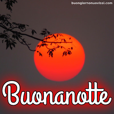 nuovissimi buonanotte la pietra bianca