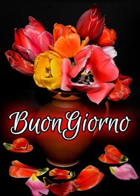 nuovissimo buon giorno nuovissimi nuovissimo buongiorno immagini recenti nuovissimo buon giorno nuovissimi nuovissimo buongiorno immagini recenti