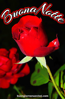 nuovissimo buona notte nuovissimo buonanotte immagini recenti nuovissimo buona notte nuovissimo buonanotte immagini recenti