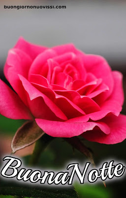 nuovissimo buona notte nuovissimo buonanotte immagini recenti nuovissimo buona notte nuovissimo buonanotte immagini recenti