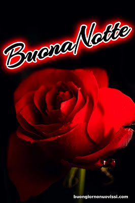 nuovissimo buona notte nuovissimo buonanotte immagini recenti nuovissimo buona notte nuovissimo buonanotte immagini recenti