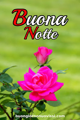 nuovissimo buona notte nuovissimo buonanotte immagini recenti nuovissimo buona notte nuovissimo buonanotte immagini recenti