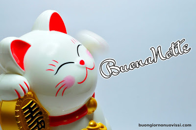 nuovissimo buona notte nuovissimo buonanotte immagini recenti nuovissimo buona notte nuovissimo buonanotte immagini recenti