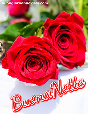 nuovissimo buona notte nuovissimo buonanotte immagini recenti nuovissimo buona notte nuovissimo buonanotte immagini recenti