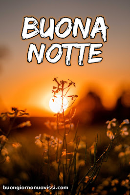 nuovissimo buona notte nuovissimo buonanotte immagini recenti nuovissimo buona notte nuovissimo buonanotte immagini recenti
