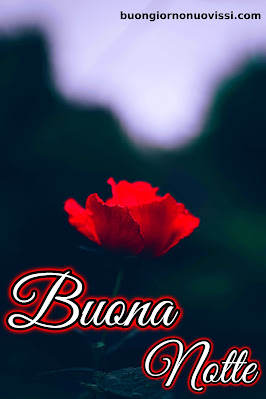 nuovissimo buona notte nuovissimo buonanotte immagini recenti nuovissimo buona notte nuovissimo buonanotte immagini recenti