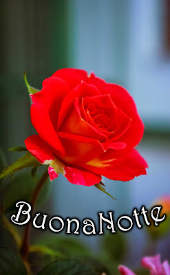 nuovissimo buona notte nuovissimo buonanotte immagini recenti nuovissimo buona notte nuovissimo buonanotte immagini recenti