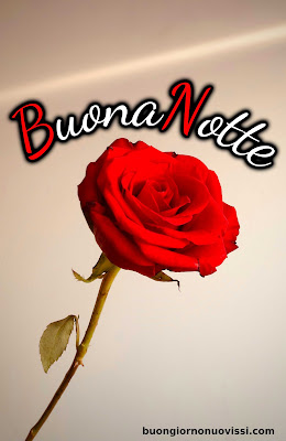 nuovissimo buona notte nuovissimo buonanotte immagini recenti nuovissimo buona notte nuovissimo buonanotte immagini recenti