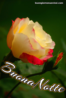 nuovissimo buona notte nuovissimo buonanotte immagini recenti nuovissimo buona notte nuovissimo buonanotte immagini recenti