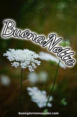 nuovissimo buona notte nuovissimo buonanotte immagini recenti nuovissimo buona notte nuovissimo buonanotte immagini recenti