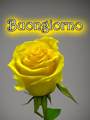 nuovissimo buongiorno immagini recenti