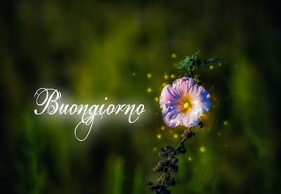 nuovissimo buongiorno immagini recenti
