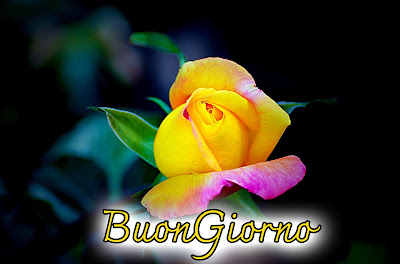 nuovissimo buongiorno immagini recenti