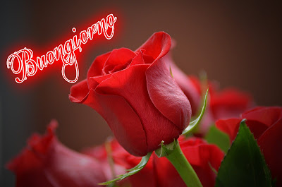 nuovissimo buongiorno immagini recenti
