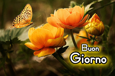 nuovissimo buongiorno immagini recenti