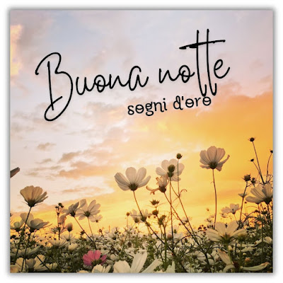 nuovissimo originale nuovissimo buonanotte immagini recenti nuovissimo originale nuovissimo buonanotte immagini recenti