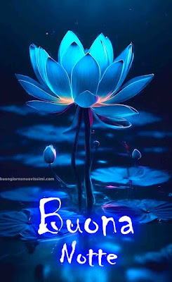 nuovissimo originale nuovissimo buonanotte immagini recenti nuovissimo originale nuovissimo buonanotte immagini recenti