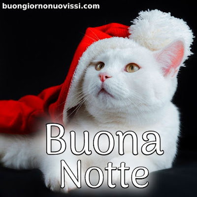 originale buonanotte pinterest nuovissimi