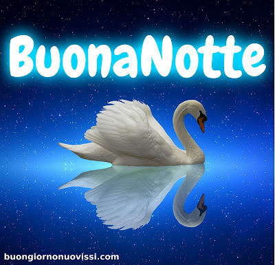 originale buonanotte pinterest nuovissimi originale buonanotte pinterest nuovissimi
