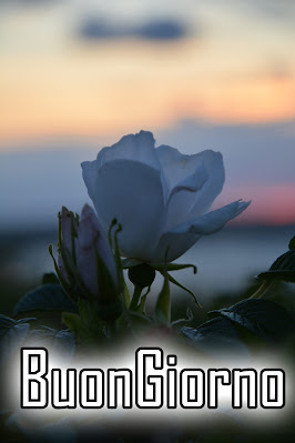 originali nuovissimo buongiorno immagini recenti