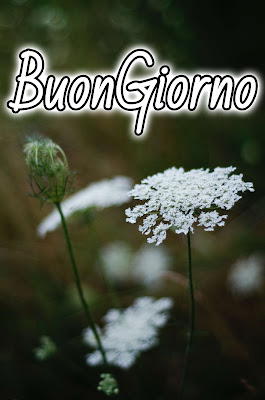 originali nuovissimo buongiorno immagini recenti