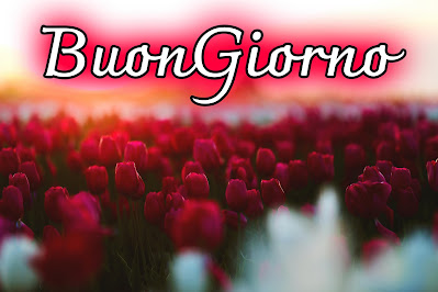 originali nuovissimo buongiorno immagini recenti