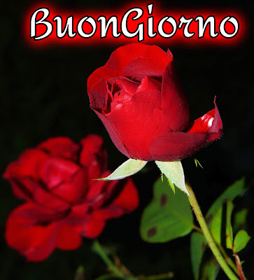 originali nuovissimo buongiorno immagini recenti