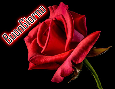 originali nuovissimo buongiorno immagini recenti