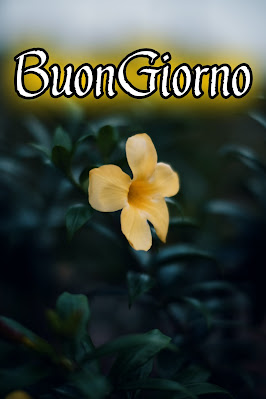 originali nuovissimo buongiorno immagini recenti