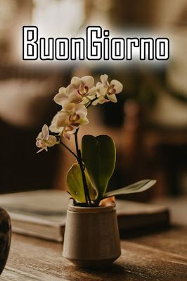 originali nuovissimo buongiorno immagini recenti