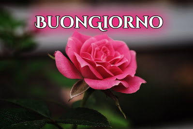 originali nuovissimo buongiorno immagini recenti