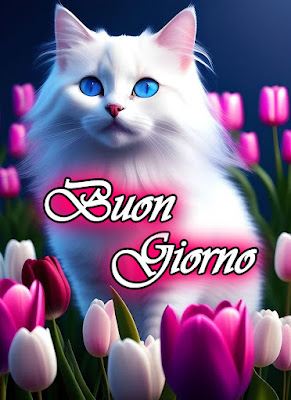 originali nuovissimo buongiorno immagini recenti