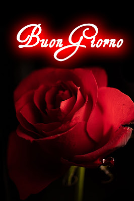 originali nuovissimo buongiorno immagini recenti