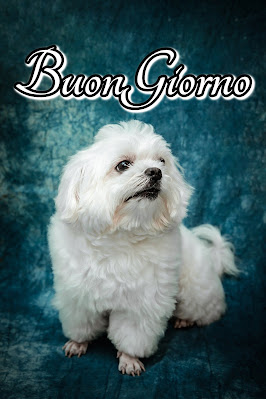 originali nuovissimo buongiorno immagini recenti