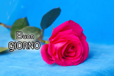 pinterest nuovissimo pinterest buongiorno immagini recenti