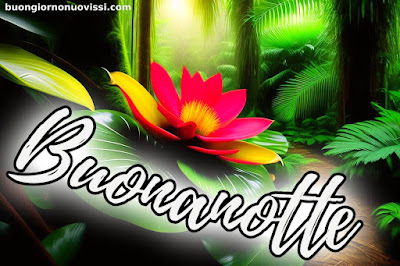 pietra bianca nuovissimo buonanotte immagini recenti pietra bianca nuovissimo buonanotte immagini recenti