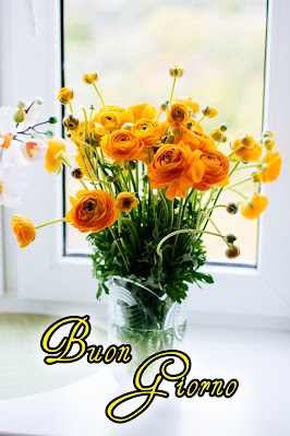 pinterest nuovissimo pinterest buongiorno immagini recenti
