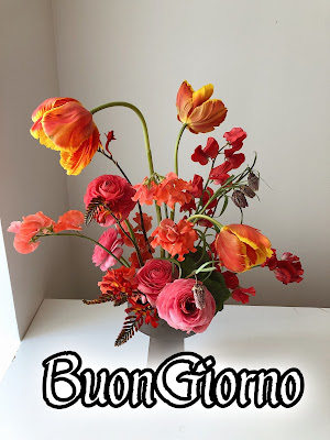 pinterest nuovissimo pinterest buongiorno immagini recenti