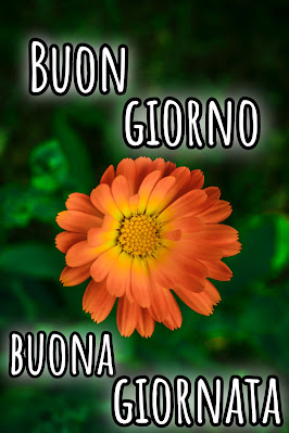 pinterest nuovissimo pinterest buongiorno immagini recenti