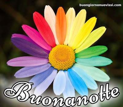 pietra bianca nuovissimo buonanotte immagini recenti pietra bianca nuovissimo buonanotte immagini recenti