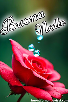 pietra bianca nuovissimo buonanotte immagini recenti pietra bianca nuovissimo buonanotte immagini recenti