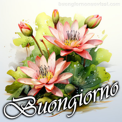 stupende nuovissimo buongiorno immagini recenti