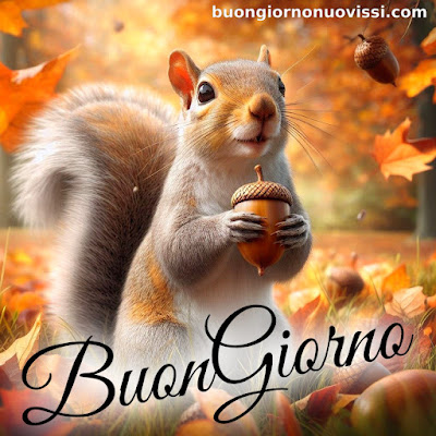 stupende nuovissimo buongiorno immagini recenti