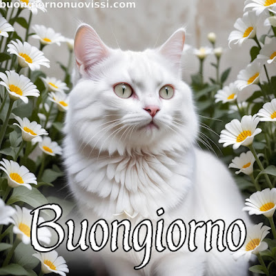 stupende nuovissimo buongiorno immagini recenti