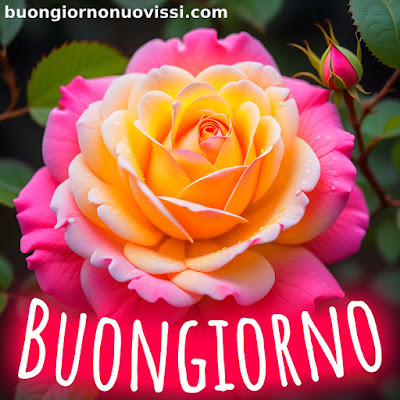 stupende nuovissimo buongiorno immagini recenti