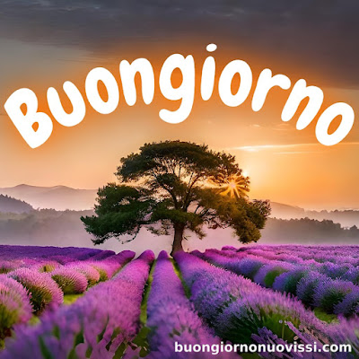 stupende nuovissimo buongiorno immagini recenti