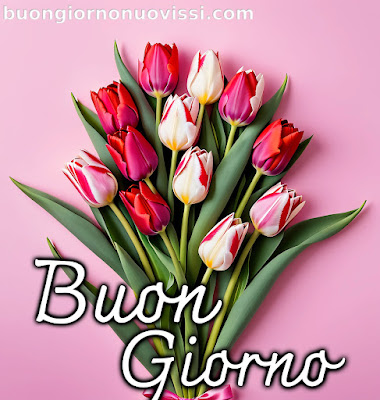 stupende nuovissimo buongiorno immagini recenti